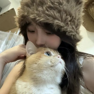 母猫